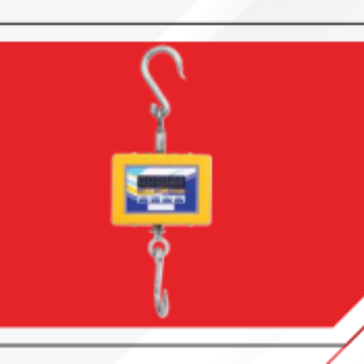 Crane Scale